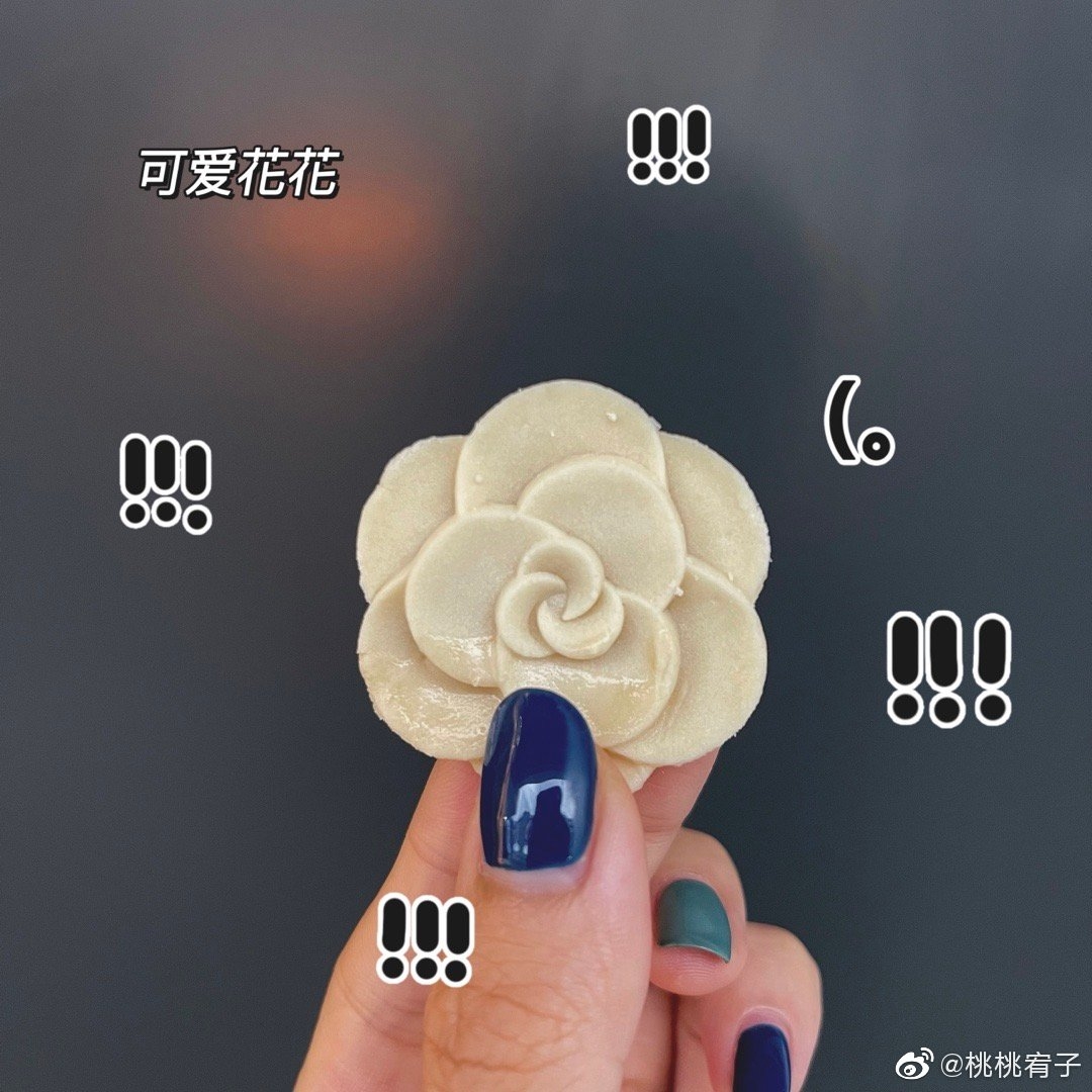 山茶花甜筒餅乾