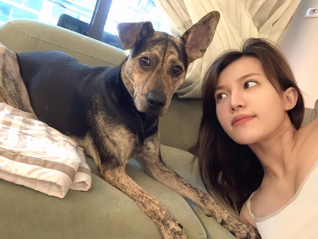 李國毅老婆橘子