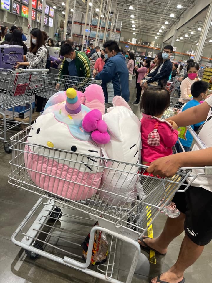 台灣Costco3款Hello Kitty抱枕黑色購物節來帶走