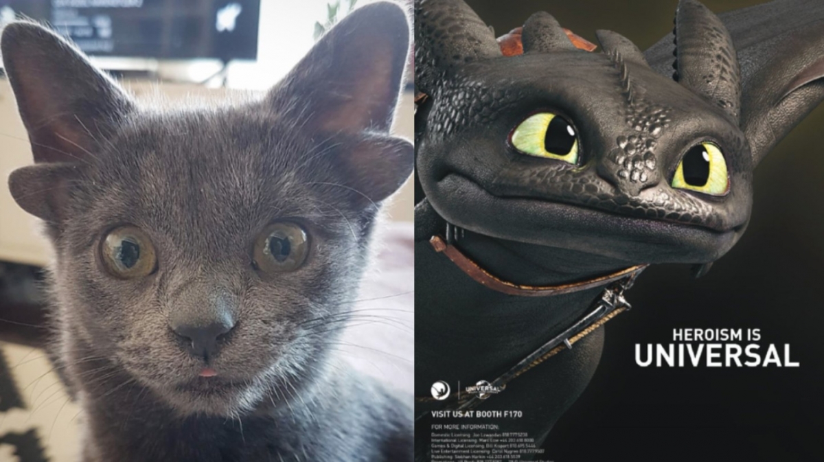 部分網友則是認為，邁達斯（Midas）很像「沒牙」。