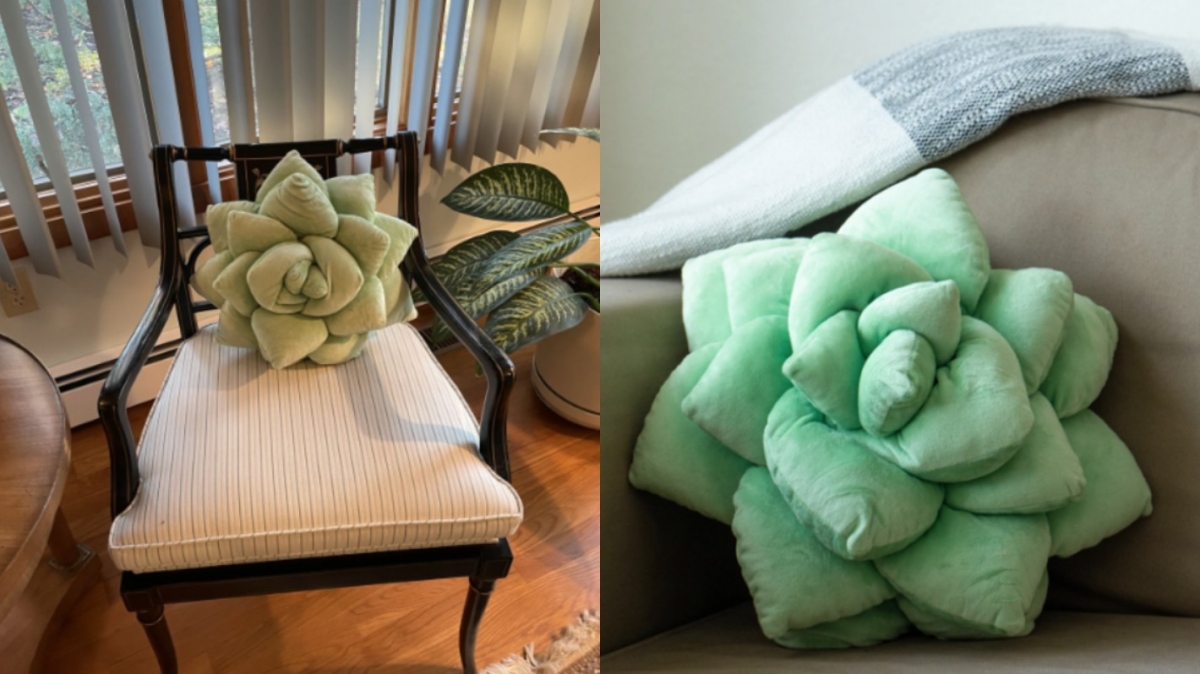 看書、打電腦累了的時候，就靠在多肉植物抱枕上吧！