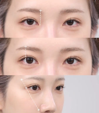 決定眉毛的長度