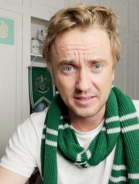 湯姆費爾頓蛇願代表