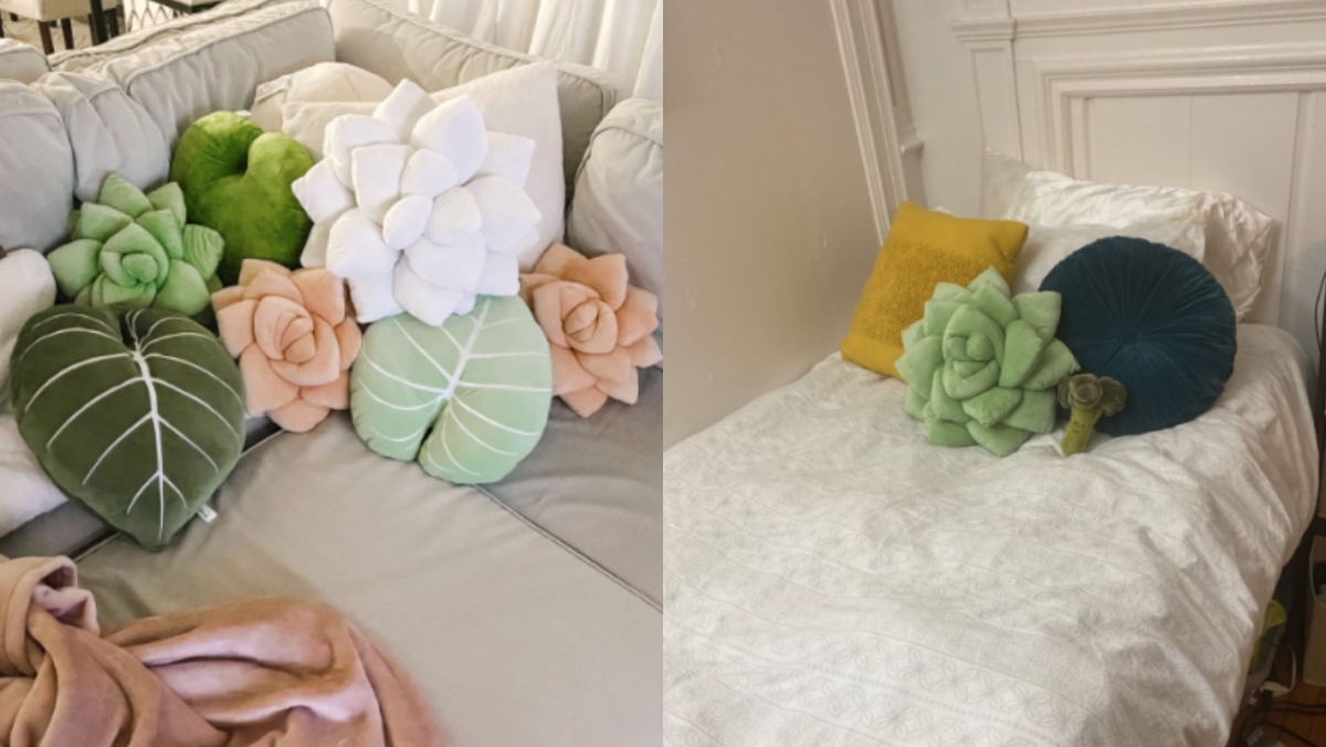 無論是把多肉植物抱枕擺放在什麼地方，都有非常療癒的視覺效果！