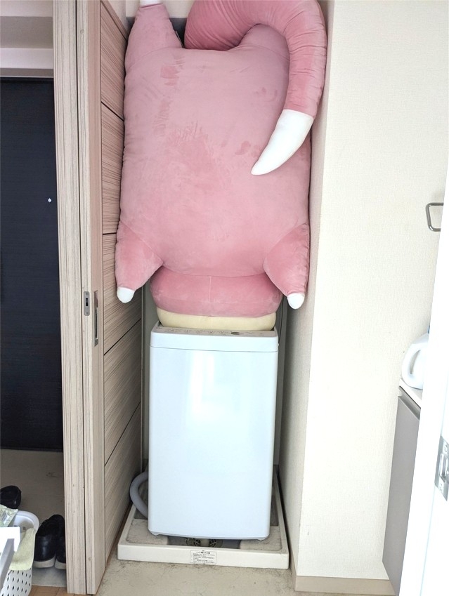 巨型呆呆獸塞不進洗衣機