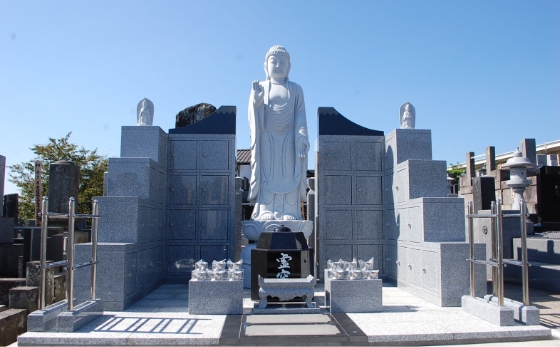 訂閱服務以月費制進行