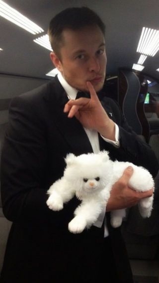 馬斯克「髮際線回春」