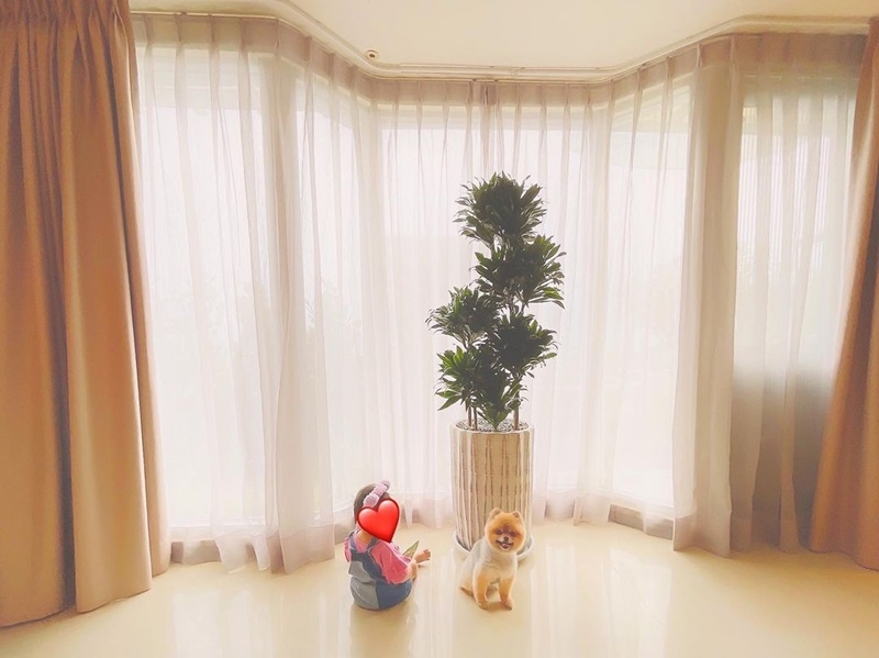 IG @official_bii