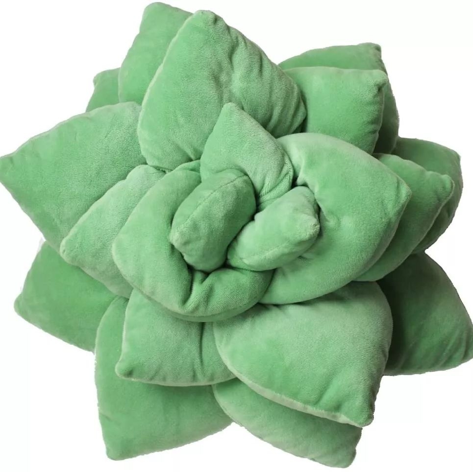 多肉植物抱枕超療癒外型吸引網友大量購買。