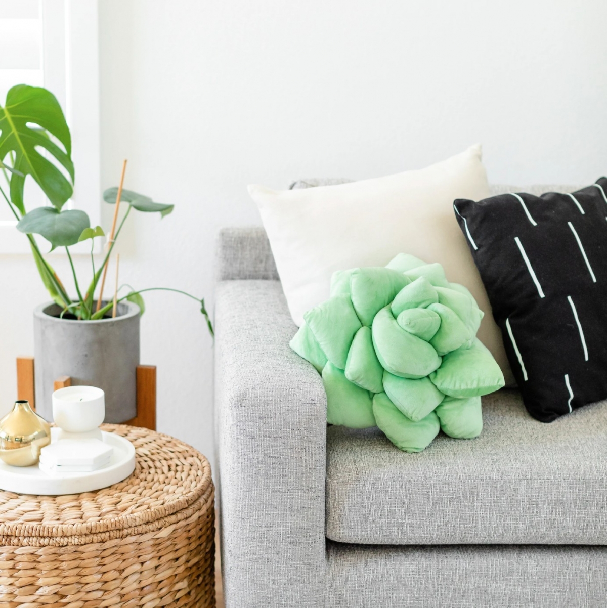 多肉植物抱枕也有裝飾客廳、提升空間質感的額外功用。