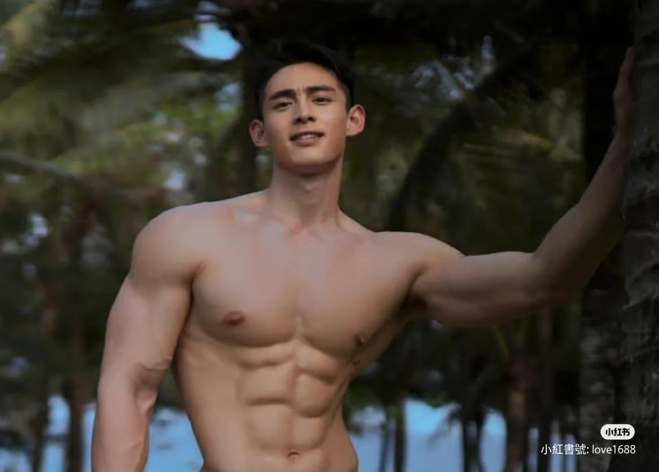 從胸肌到冰塊盒腹肌皆完美