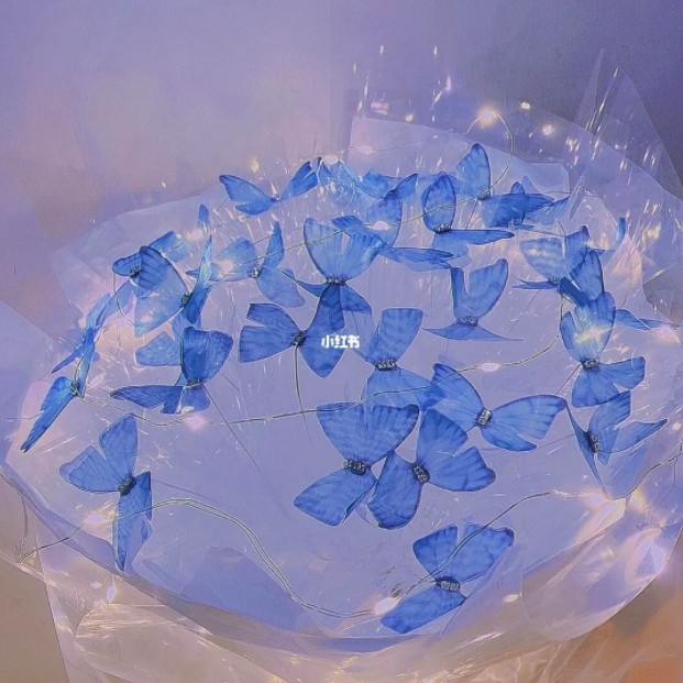 送禮推薦-小紅書爆款「蝴蝶花束」