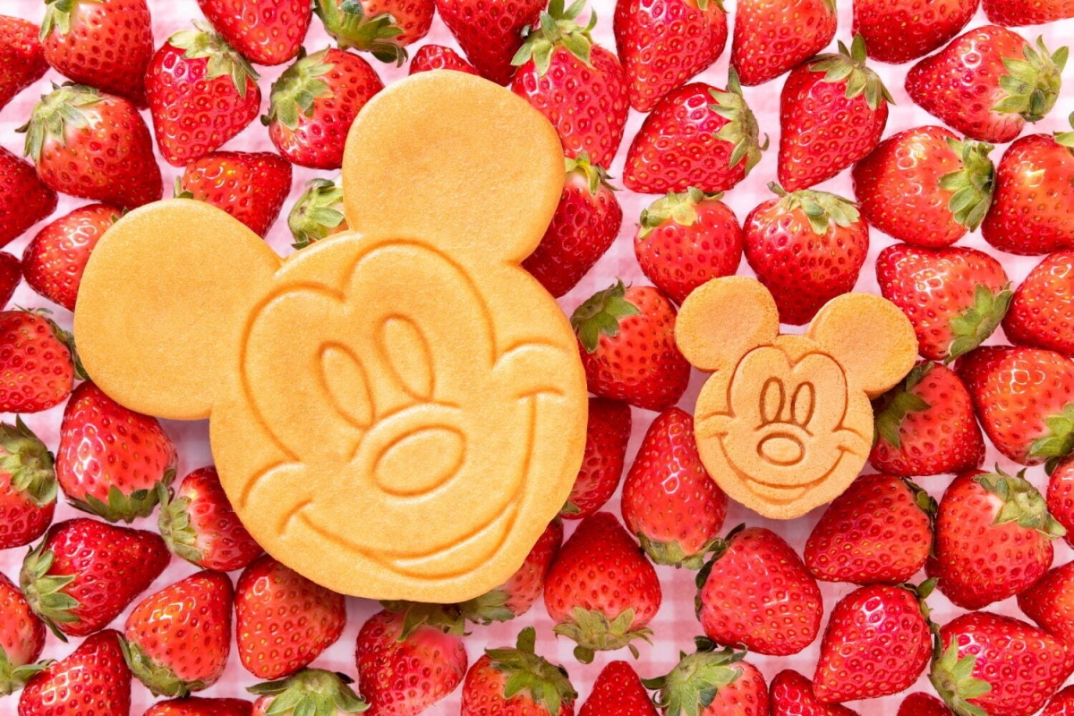 巨大蛋糕尺寸，與一般版對比