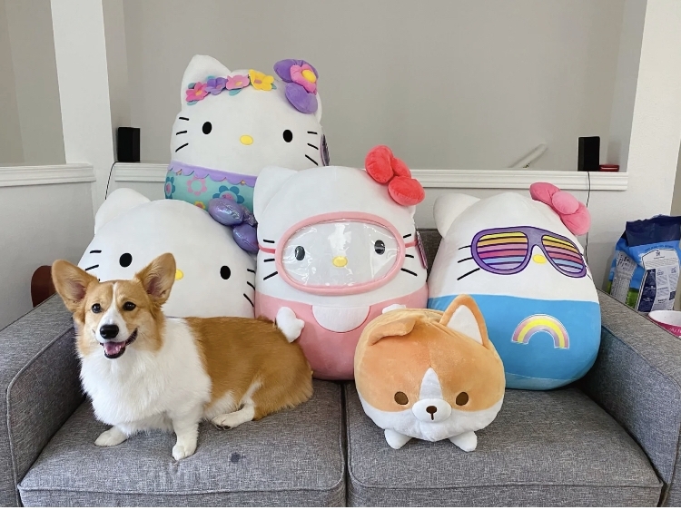 美國Costco好市多「超巨大Hello Kitty抱枕」