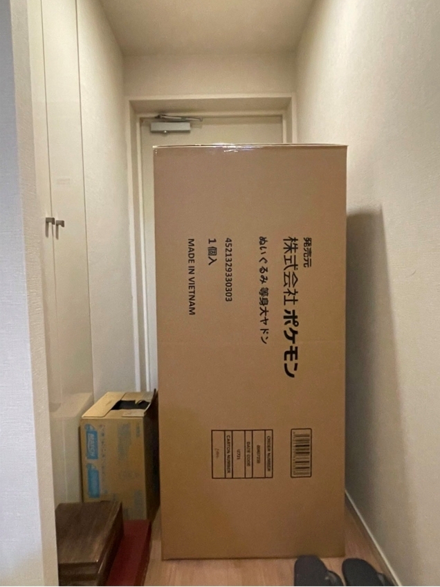 日本網友收到「路卡利歐」玩偶紙箱大到傻眼