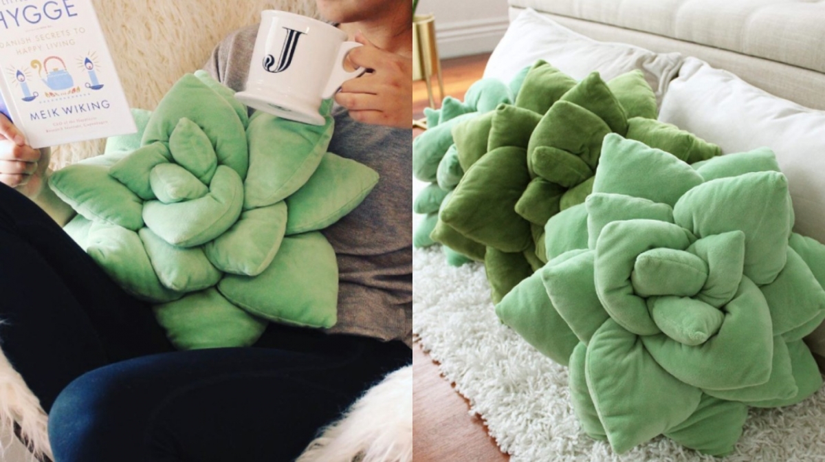 療癒系「多肉植物抱枕」引發網友爆買潮