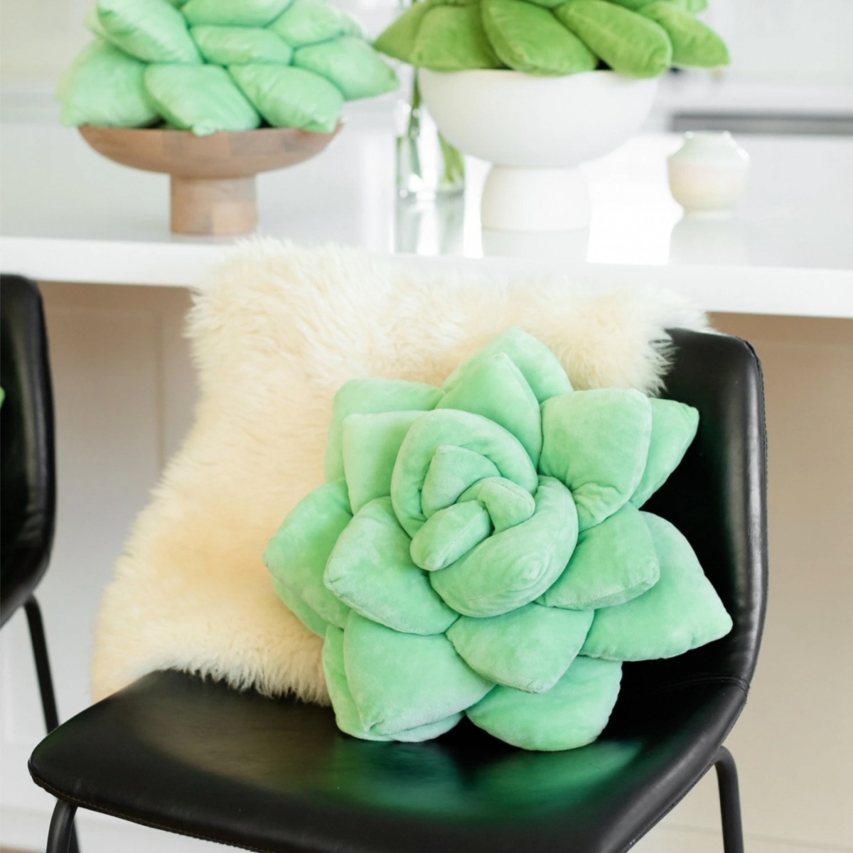 即使一次囤貨很多顆多肉植物抱枕，也不會有視覺上的擁擠感。