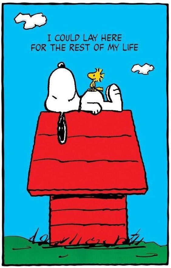 《PEANUTS/花生漫畫》史努比