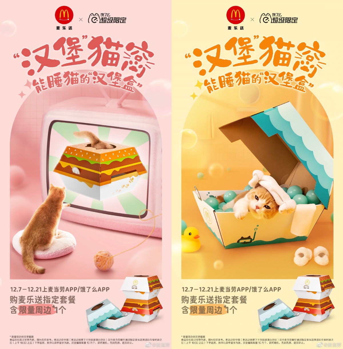 為了這款貓窩有貓奴一早排隊搶購