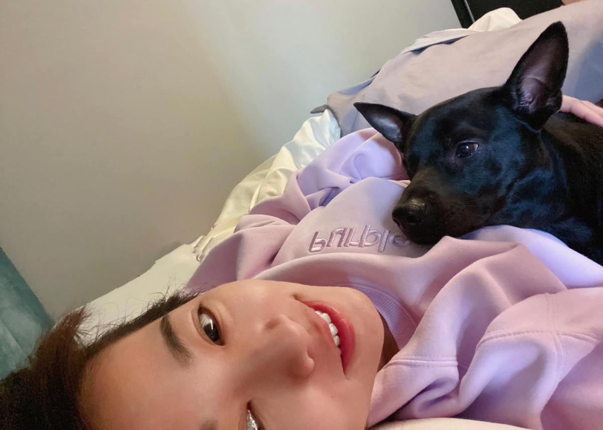 米可白為毛小孩做公益