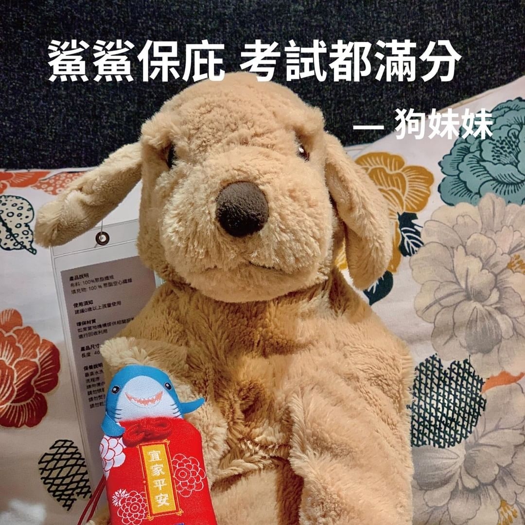 2022超萌鯊鯊平安御守合照狗狗玩偶