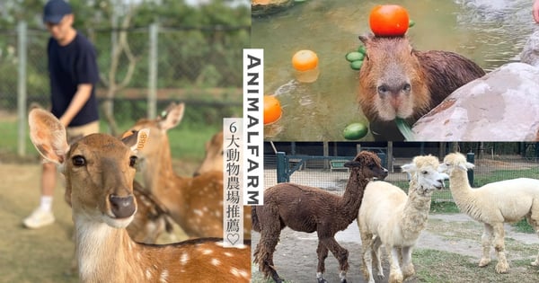 全台6大動物農場推薦！超萌「水豚君」零距離餵食接觸～還有小鹿斑比、草泥馬通通超融化♡