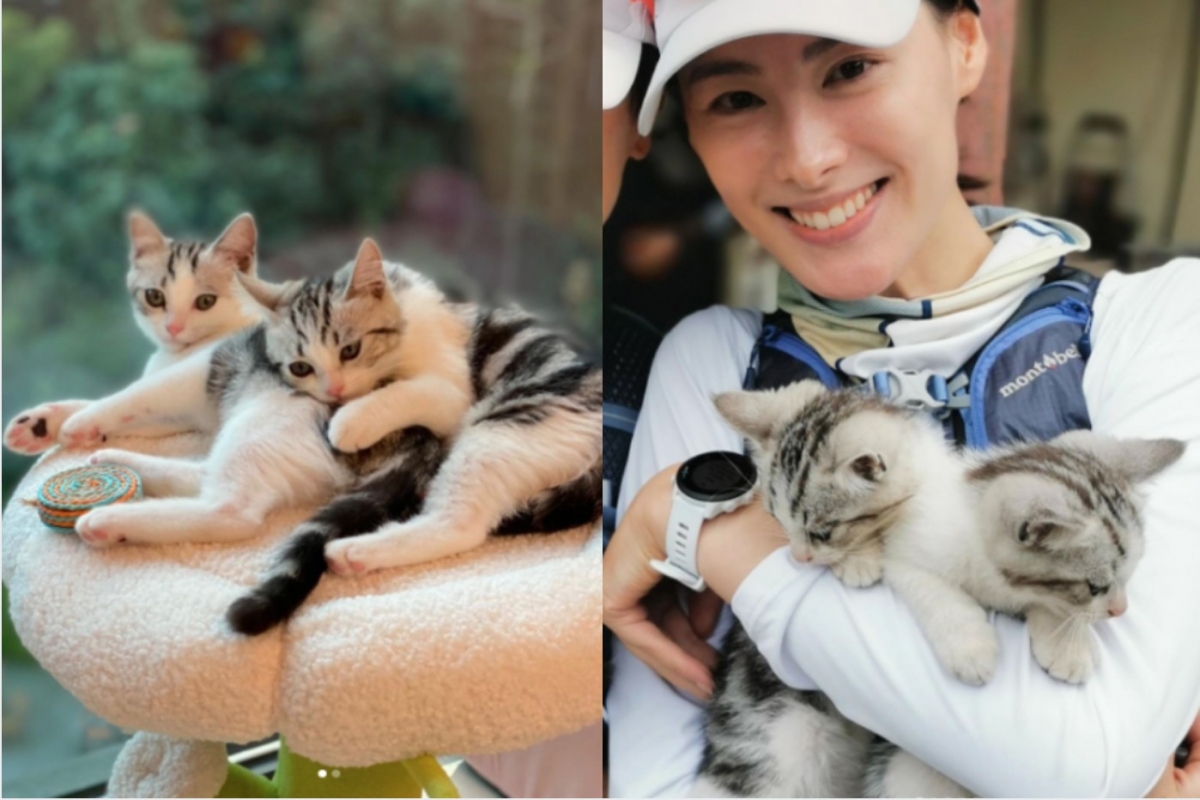 梁洛施近日「收編」貓咪，沒想到意外讓所住豪宅景觀曝光。