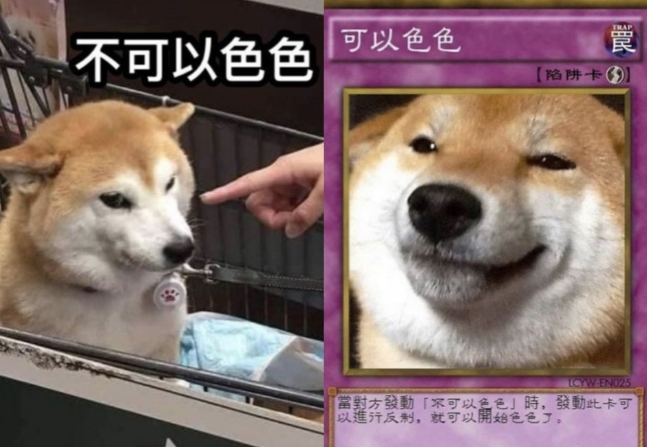 「色色柴犬」變成遊戲王卡