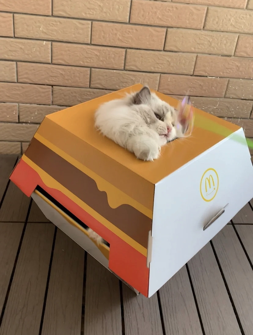 小紅書 @蕾蕾leilalei