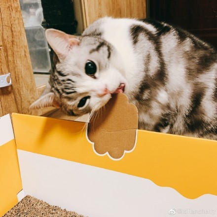 微博 @isTiancherry