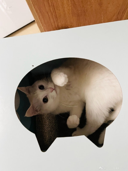 微博 @----Vikki----