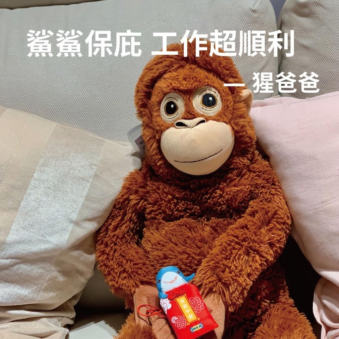 2022超萌鯊鯊平安御守合照大猩猩玩偶