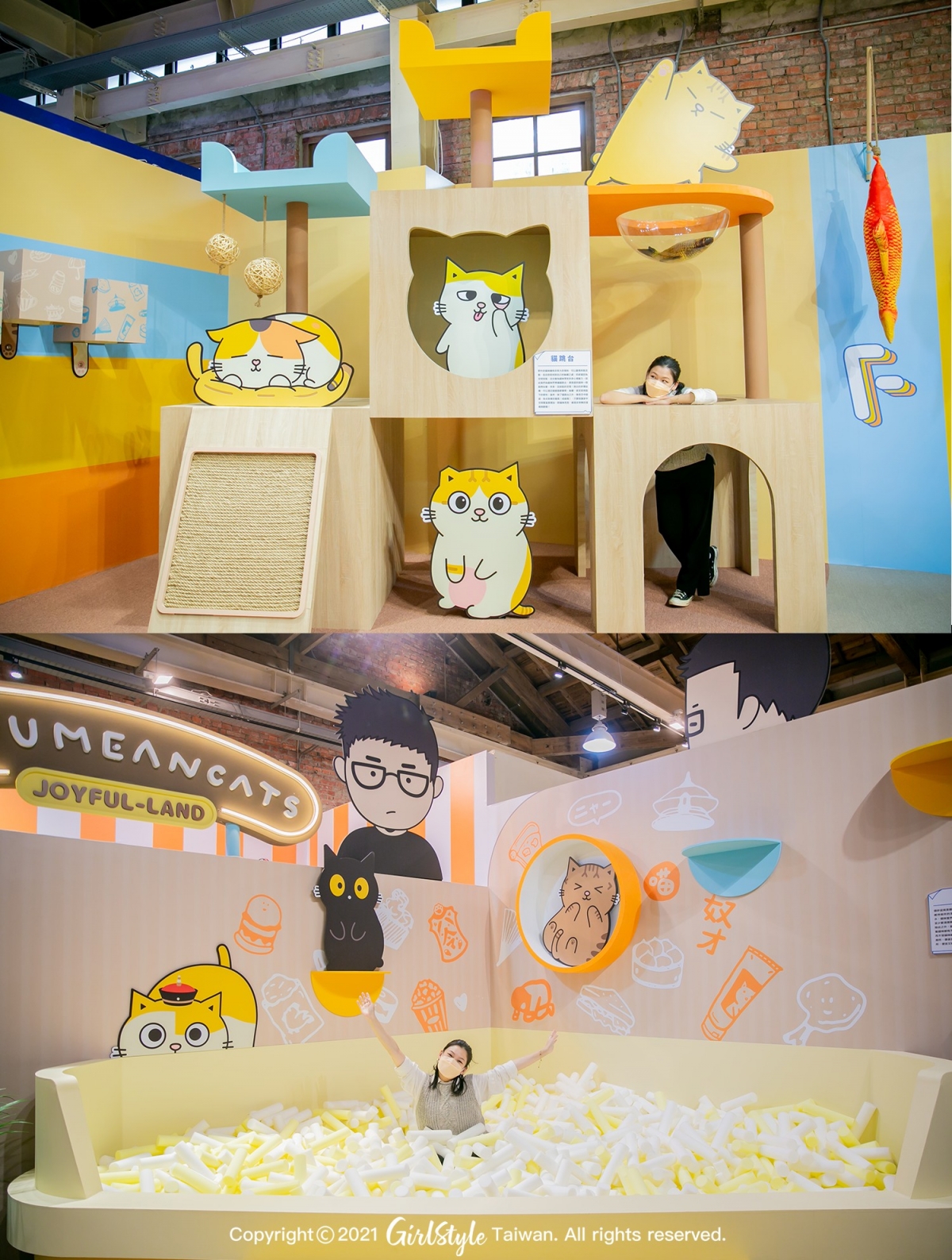 不行不行!這太療癒了!我也要變成一隻貓~