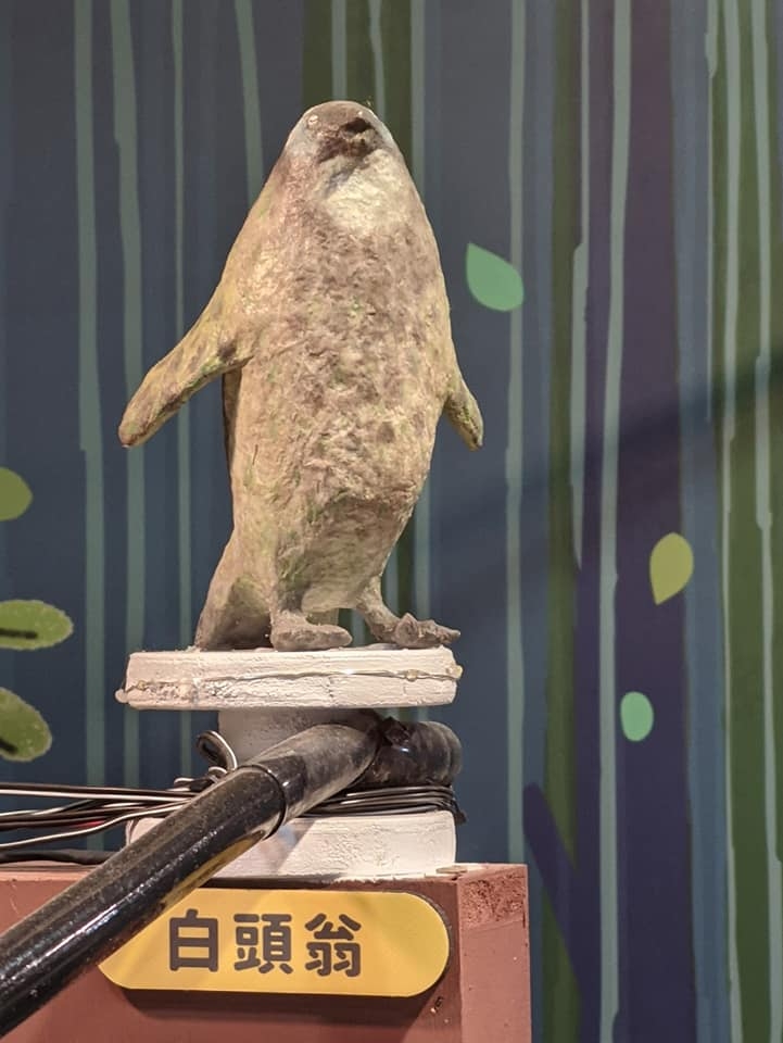 台南兒童科學館鳥類模型「白頭翁」