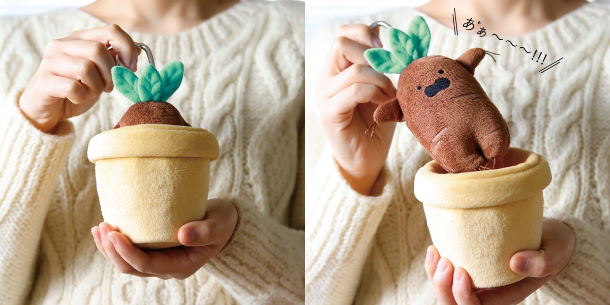 曼陀羅草概念商品引熱議