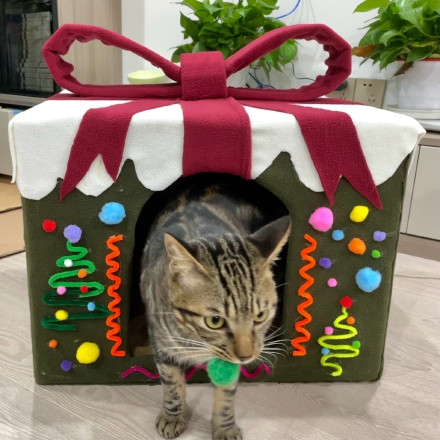 微博 @彎彎_wwwww