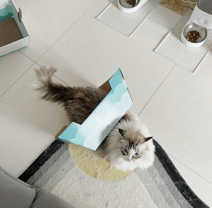 小紅書 @李桑菊