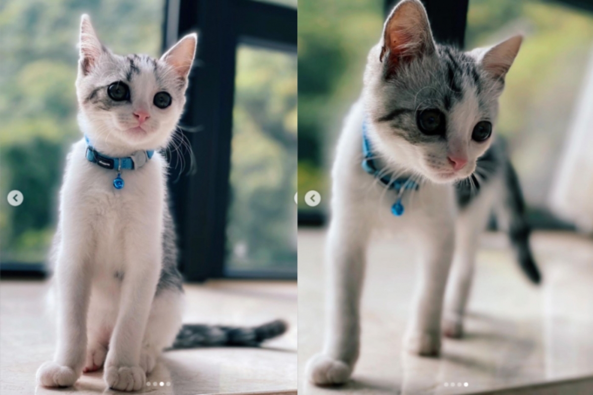 香港媒體報導指出，梁洛施目前的住處是當年李澤楷花了8年時間、豪擲2億港元（約6億台幣）打造。