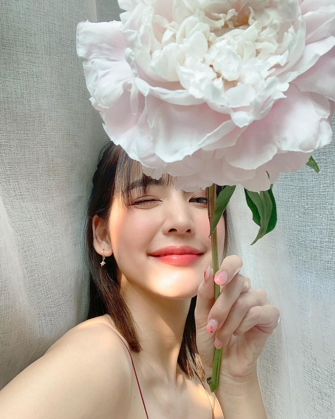 366日の花紋