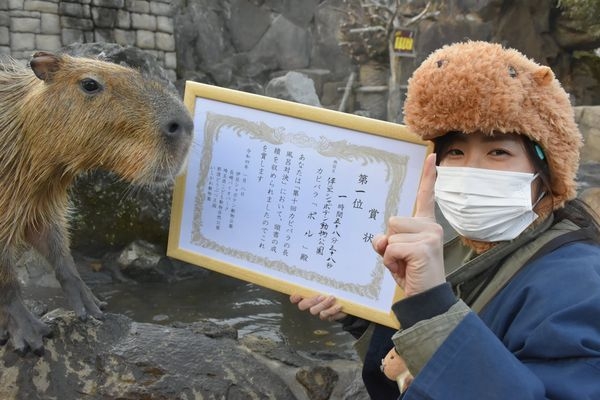 PORU獲得了「水豚泡湯大賽」冠軍。