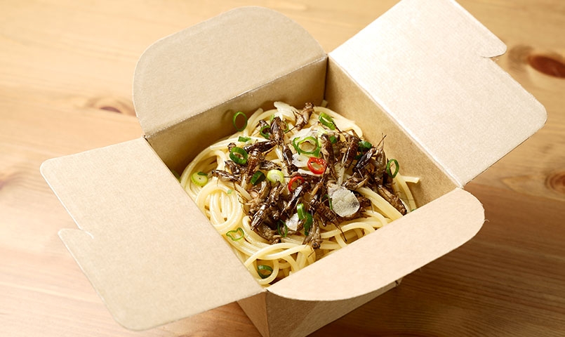 「京都特選蟋蟀」香蒜辣椒義大利麵。