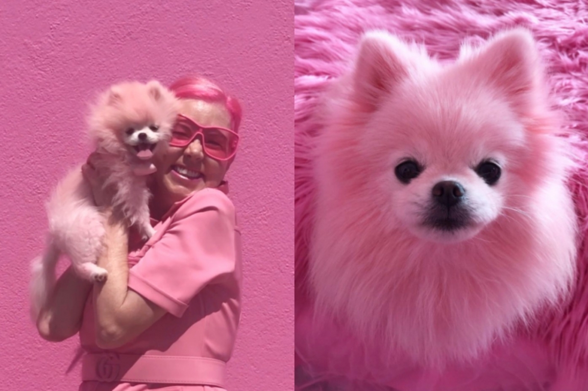 Kitten Kay Sera諮詢獸醫後,以天然植物「甜菜根」將愛犬部分毛髮染成粉紅色。
