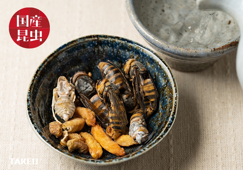 TAKENO 網路商店所販售的昆蟲食品。