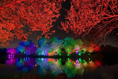 2022台灣燈會在高雄