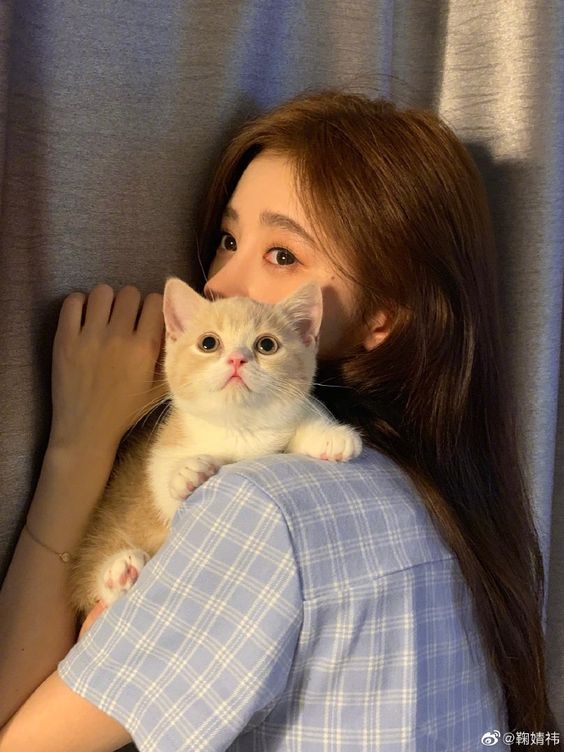 D:甜甜圈-自戀程度:10%