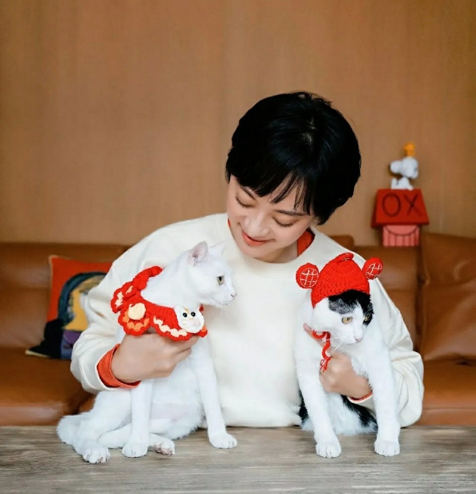 孫儷2隻愛貓充滿喜氣