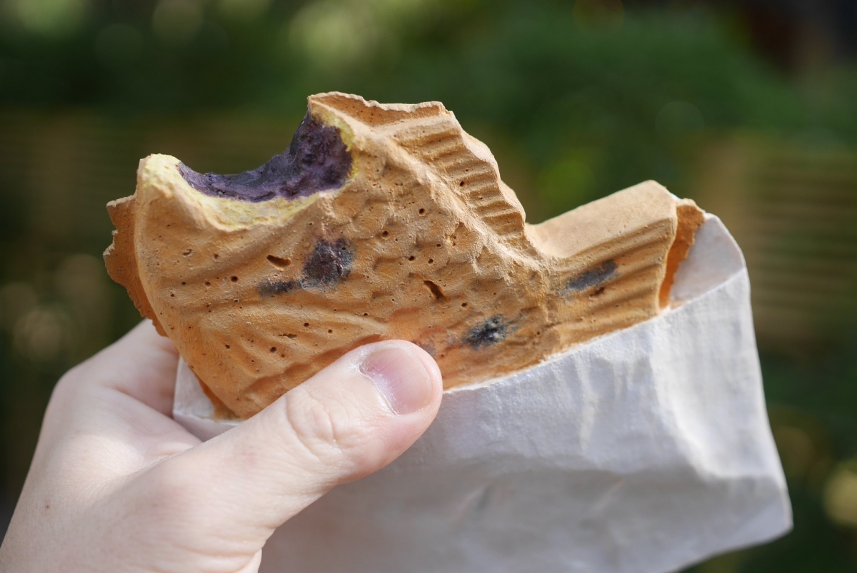 キボリノコンノ（@kibori_no_konno）