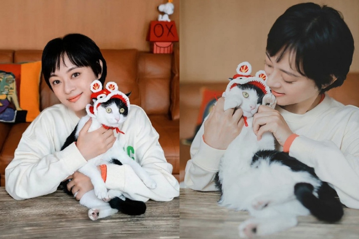 孫儷新年第一個念頭就是跟貓咪拍賀歲照