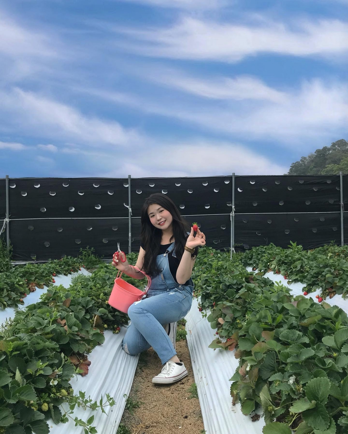 簡嘉芸晴天採草莓出遊