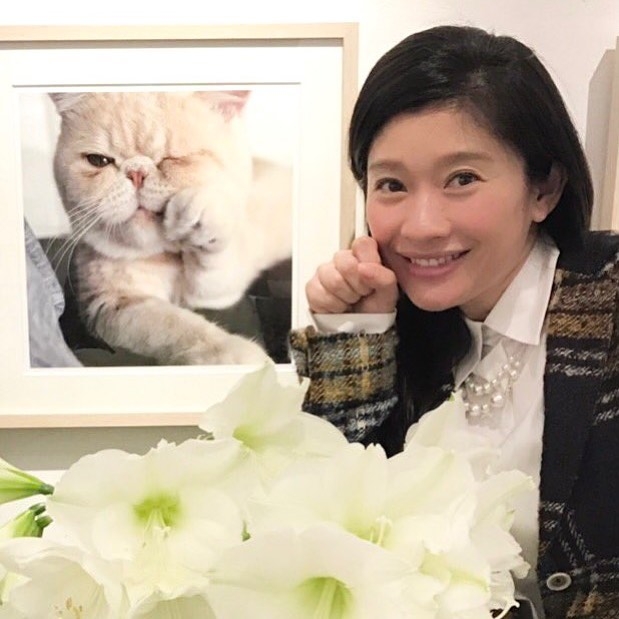 篠原涼子感情生活精彩